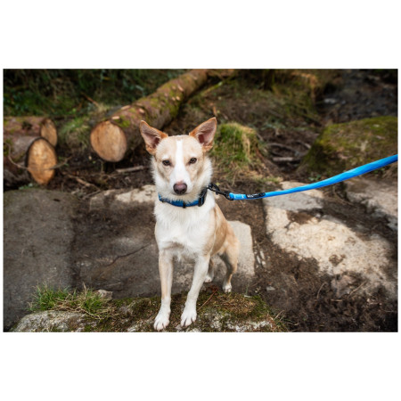 Smycz dla psa Mountain Paws Waterproof Dog Lead