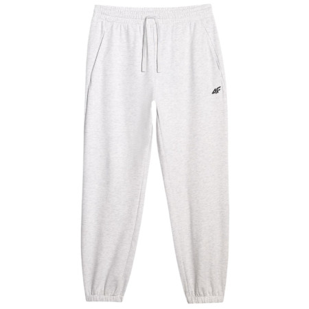 Spodnie męskie 4F Trousers Cas M1139