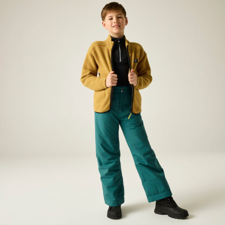 Bluza dziecięca Dare 2b Zesty II Fleece Wood Brown
