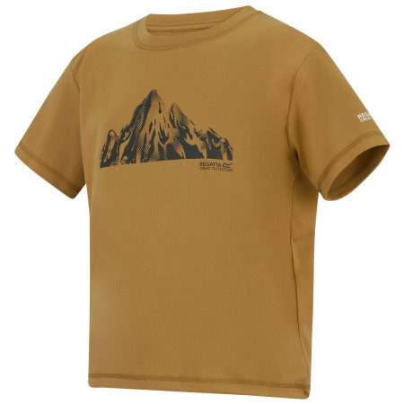 T-shirt dziecięcy Regatta Alvarado Wood Brown