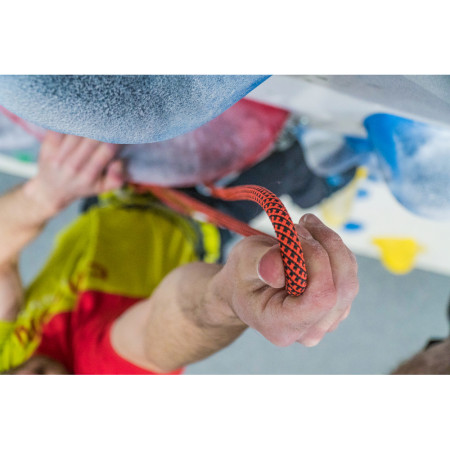 Lina Tendon Indoor 9,8 50m