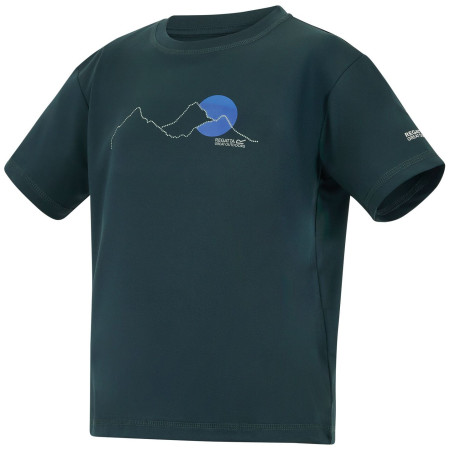T-shirt dziecięcy Regatta Alvarado Night Sky
