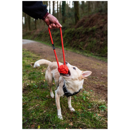 Zabawka dla psa Mountain Paws Ball Chew Rope Dog Toy