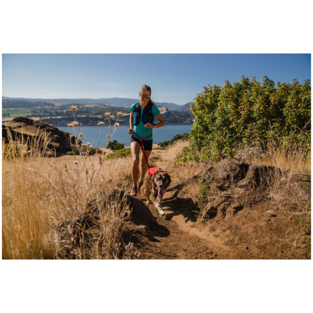 Szelki dla psa Ruffwear Switchbak™ Harness