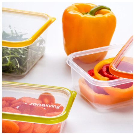 Pudełko na jedzenie Omada Sanaliving Box Set 3x 19x14x9cm/1,3L