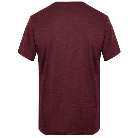 Koszulka męska Regatta Fingal Edition