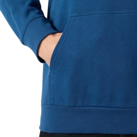 Bluza męska Helly Hansen HH Logo Hoodie