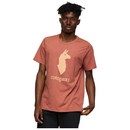 Koszulka męska Cotopaxi Cotopaxi Llama T-Shirt