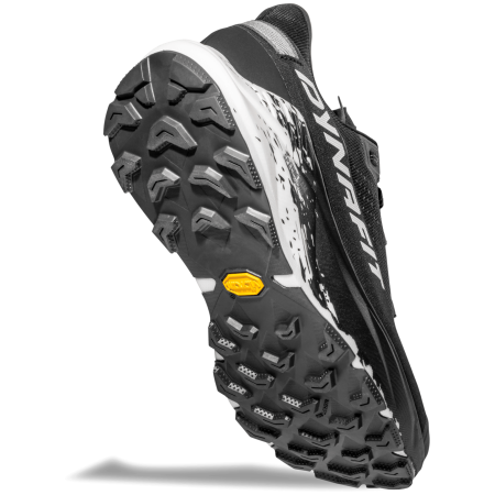 Buty do biegania dla mężczyzn Dynafit Ultra 100 V3 GTX