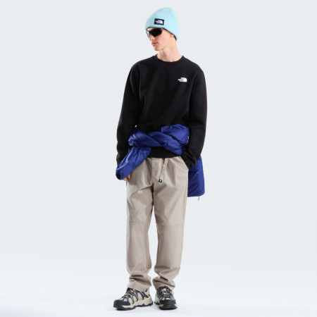Bluza męska The North Face M Evolution Box Nse Regular Crew