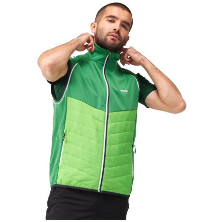 Kurtka męska Regatta Steren Hybrid