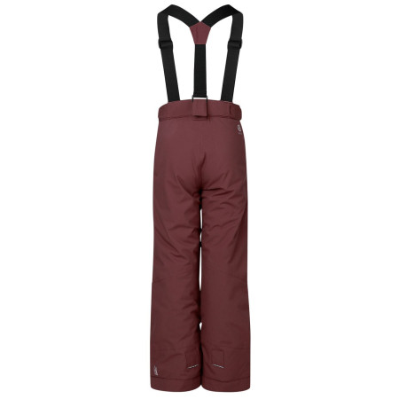 Dziecięce spodnie zimowe Dare 2b Outmove III Insulated Pant Huckleberry