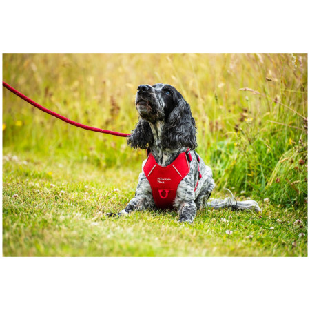 Szelki dla psa Mountain Paws Dog Harness