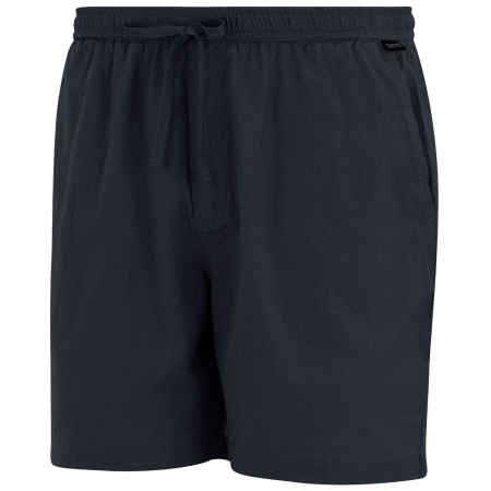 Spodenki męskie Regatta Hadlin Shorts