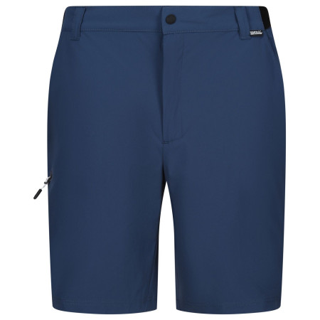 Męskie szorty Regatta Travel Light Packaway Shorts