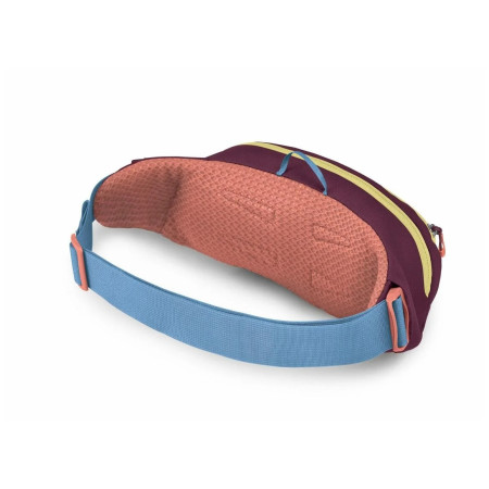 Nerka Osprey Daylite Waist Pack