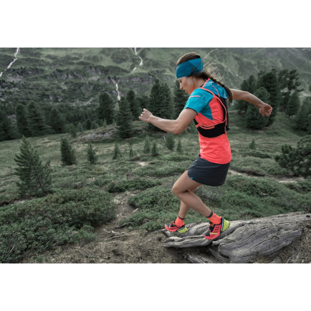 Skarpetki Dynafit Alpine Short Sk