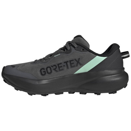 Damskie buty do biegania Adidas Terrex Tracefinder Plus Gtx