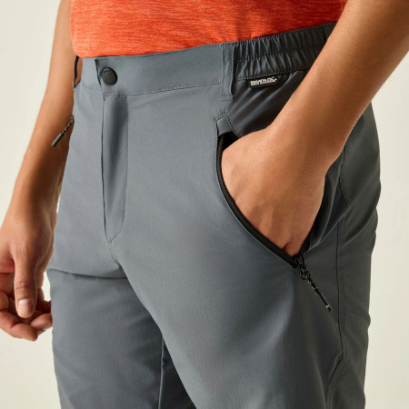 Spodenki męskie Regatta Xert Stretch Shorts