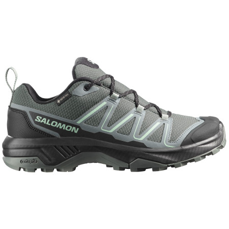 Damskie buty trekkingowe Salomon Exraise Gtx W zielony/szary Urban Chic / Black / Lichen