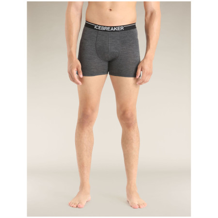Męskie bokserki Icebreaker Mens Anatomica Boxers