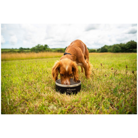 Miska dla psa Mountain Paws Basecamp Dog Bowl