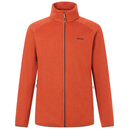 Bluza męska Regatta Rike pomarańczowy RobosTea/Blk
