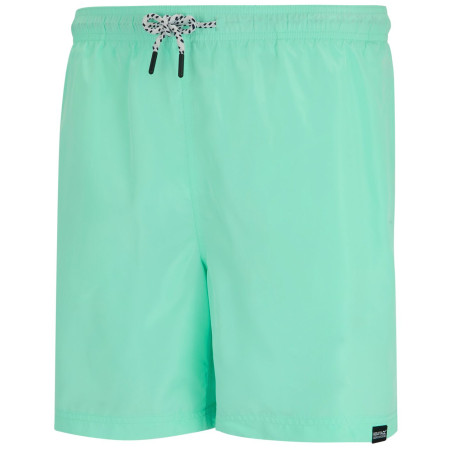 Spodenki męskie Regatta Mackleyna Swim Short