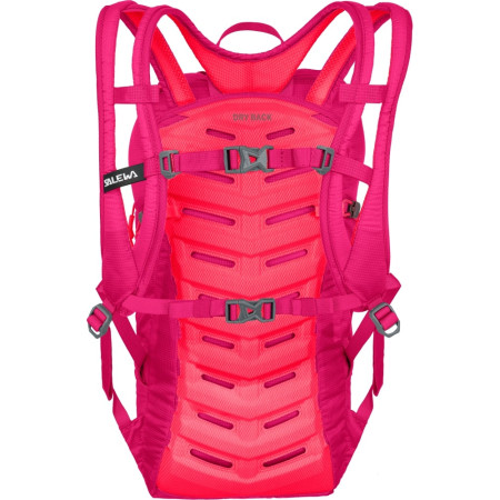 Plecak biegowy Salewa Ultra Train 14 BP