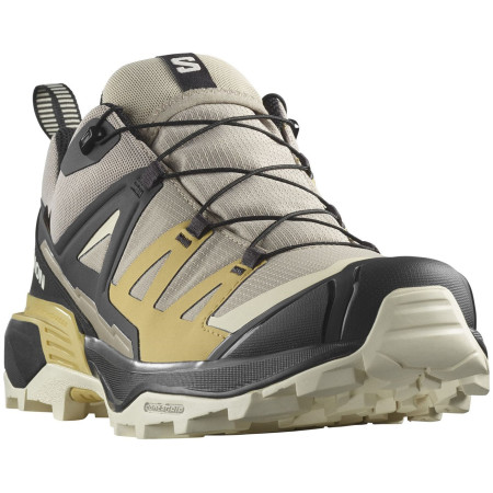 Męskie buty turystyczne Salomon X Ultra 360 GTX