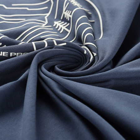 Koszulka męska Alpine Pro Morol