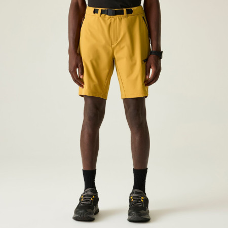 Spodenki męskie Dare 2b Tuned In Pro II Short