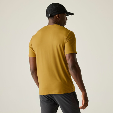 Koszulka męska Regatta Fingal Stretch