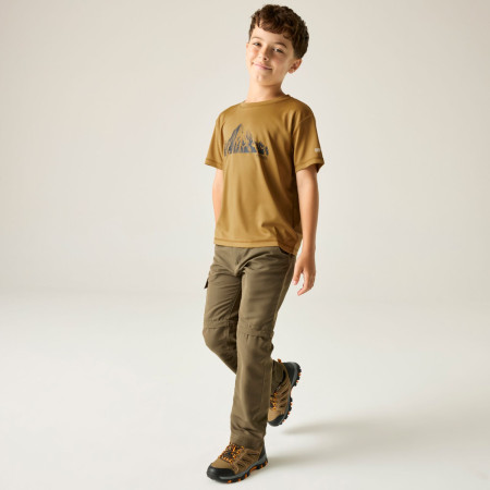 T-shirt dziecięcy Regatta Alvarado Wood Brown