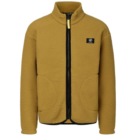 Bluza dziecięca Dare 2b Zesty II Fleece Wood Brown brązowy Wood Brown