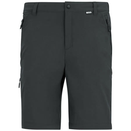 Spodnie męskie Regatta Anti-Insect Travel Light Z/O Trousers