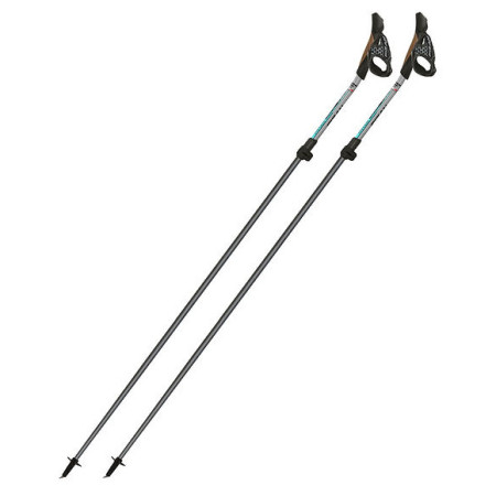Kijek Nordic walking Fizan NW Carbon Pro Impulse
