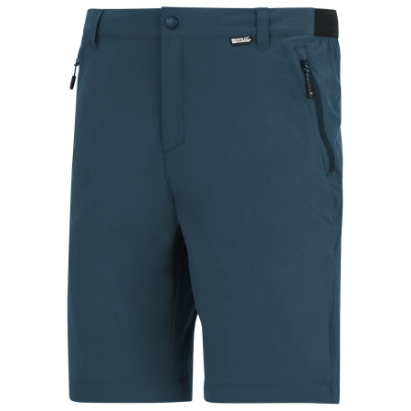 Spodnie męskie Regatta Anti-Insect Travel Light Z/O Trousers