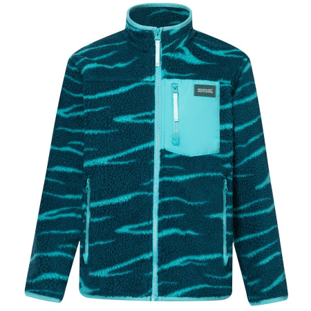 Bluza dziecięca Regatta Junior Frankie Warm Fleece Mediterranea Zebra zielony Mediterranea Zebra