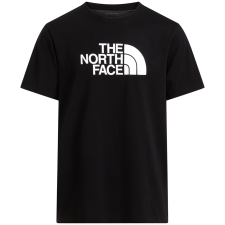 Koszulka męska The North Face Evolution Half Dome Regular Short Slee