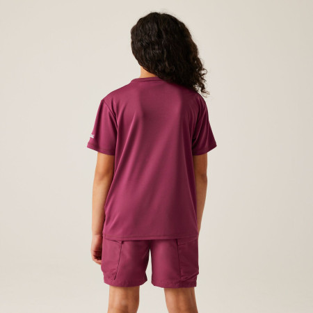 T-shirt dziecięcy Regatta Alvarado IX