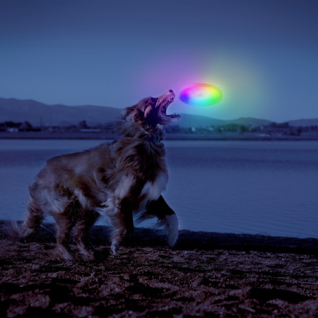 Zabawka dla psa Nite Ize Flashflight® Dog Discuit™ LED Flying Disc