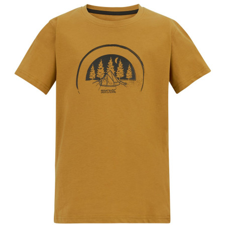T-shirt dziecięcy Regatta Bosley Wood Brown brązowy Wood Brown