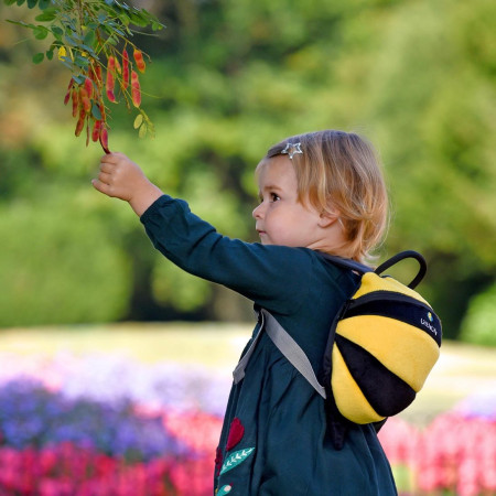 Plecak dziecięcy LittleLife Toddler Bee