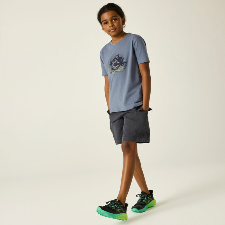 T-shirt dziecięcy Dare 2b Trailbazer III Tee Mercury
