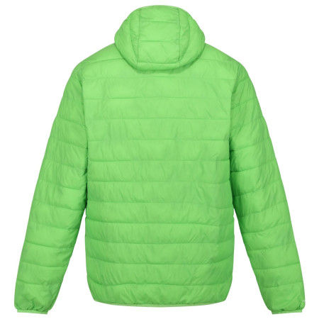 Kurtka zimowa męska Regatta Hooded Hillpack