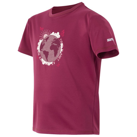 T-shirt dziecięcy Regatta Alvarado IX