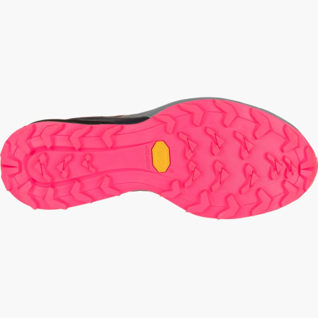 Damskie buty do biegania Dynafit Alpine W