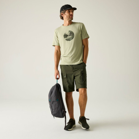 Spodenki męskie Regatta Arlery Shorts