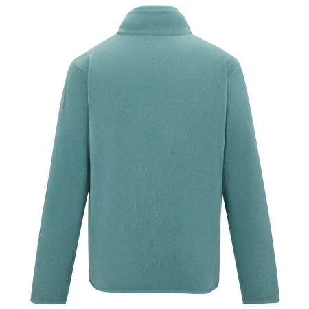 Bluza dziecięca Regatta Junior Frankie F/Z Ivy Moss